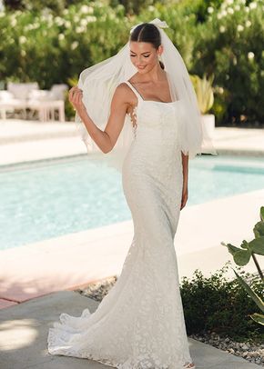 SY8253, Stella York