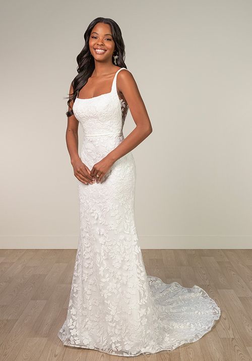 SY8253, Stella York