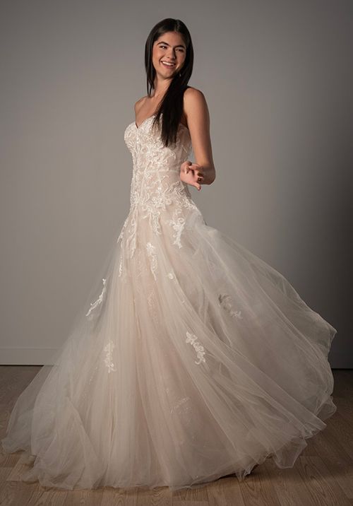 SY8205, Stella York