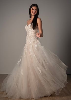 SY8205, Stella York