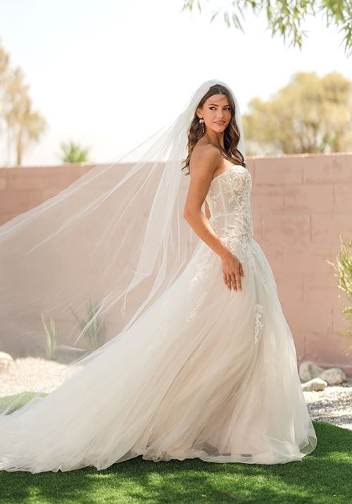 SY8205, Stella York