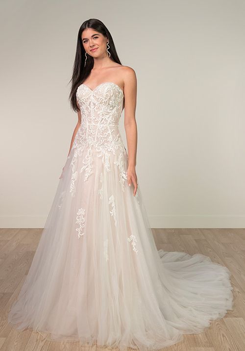 SY8205, Stella York