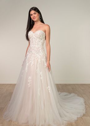 SY8205, Stella York