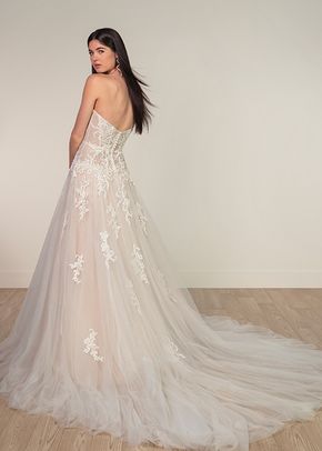 SY8205, Stella York