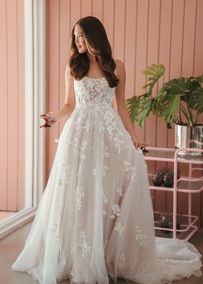 SY8213, Stella York