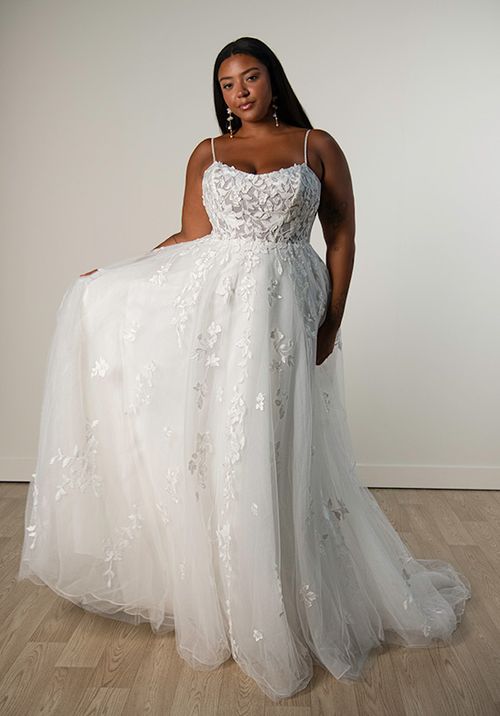 SY8213, Stella York