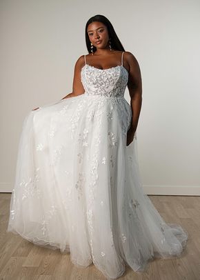 SY8213, Stella York