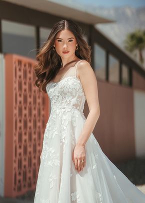 SY8213, Stella York