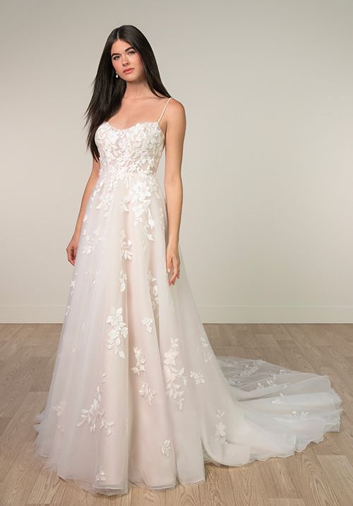 SY8213, Stella York