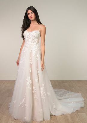 SY8213, Stella York