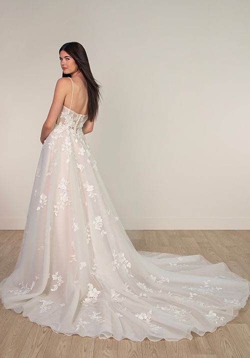 SY8213, Stella York