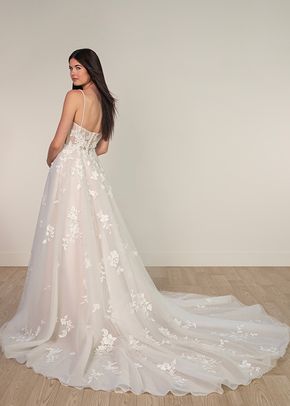SY8213, Stella York