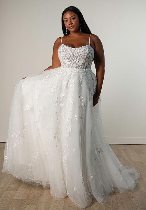 SY8213+, Stella York