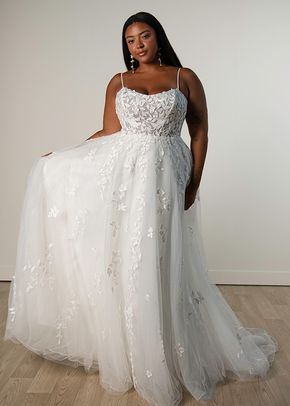 SY8213+, Stella York