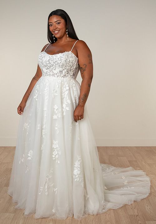 SY8213+, Stella York