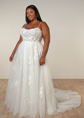 SY8213+, Stella York