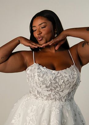 SY8213+, Stella York