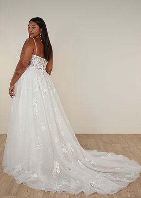 SY8213+, Stella York