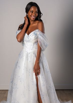 SY8215, Stella York