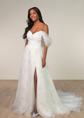 SY8215, Stella York