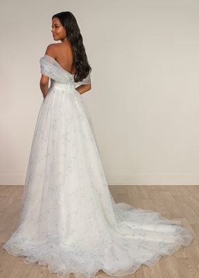 SY8215, Stella York