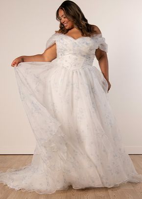 SY8215+, Stella York