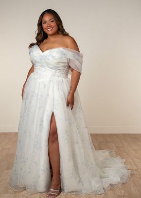 SY8215+, Stella York