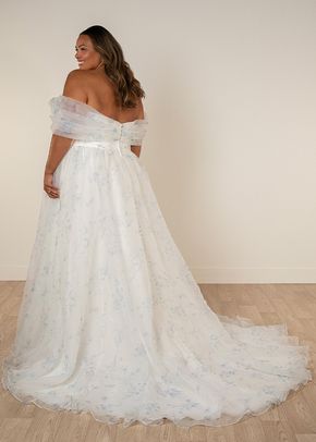 SY8215+, Stella York