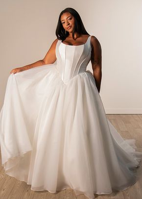 SY8222, Stella York