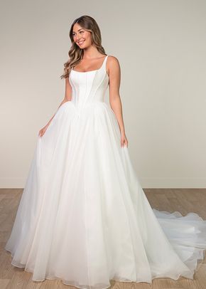SY8222, Stella York