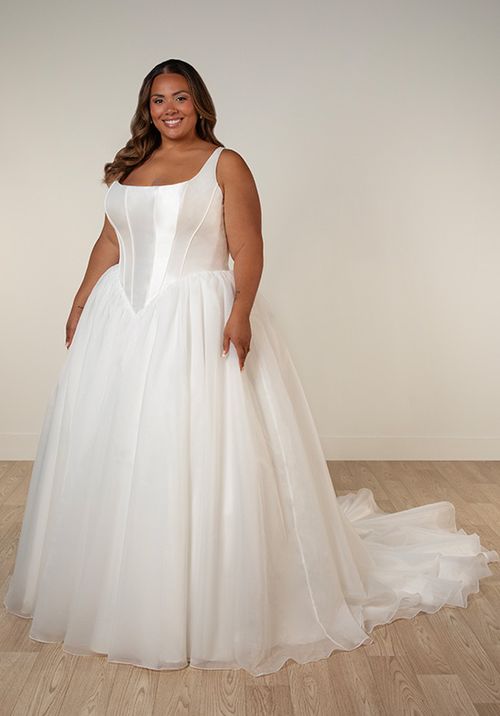 SY8222+, Stella York