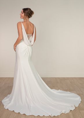 SY8224, Stella York
