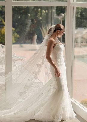 SY8237, Stella York