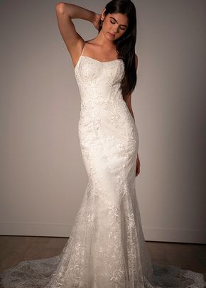 SY8237, Stella York