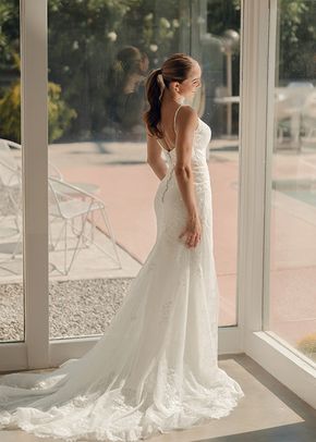 SY8237, Stella York