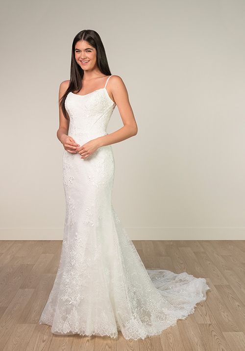 SY8237, Stella York