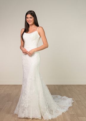 SY8237, Stella York