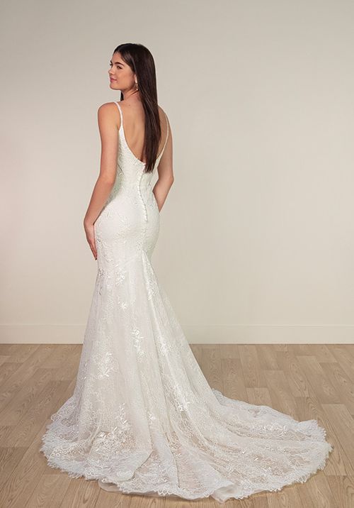 SY8237, Stella York