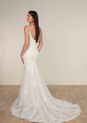 SY8237, Stella York