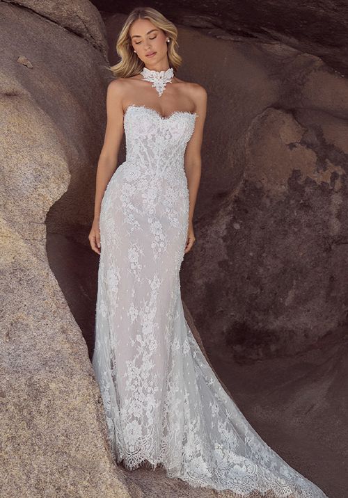 126102 Coleen, Calla Blanche