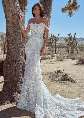 126104 Orelia, Calla Blanche