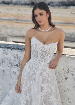 LA25243 Sam, L'Amour by Calla Blanche