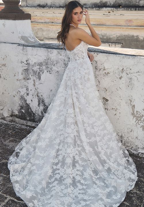 LA25243 Sam, L'Amour by Calla Blanche