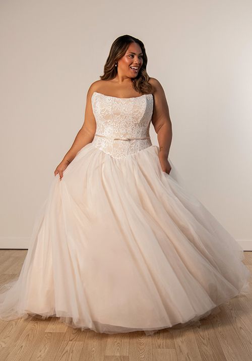 SY8189+, Stella York