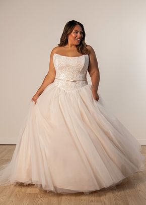 SY8189+, Stella York