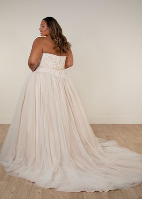 SY8189+, Stella York