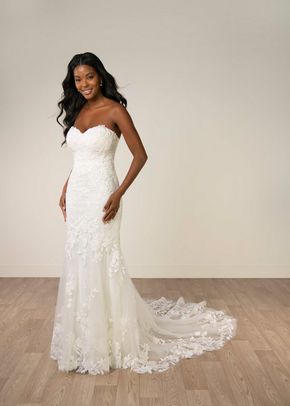 SY8332, Stella York