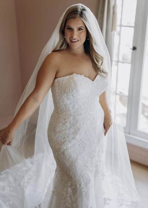 SY8332, Stella York