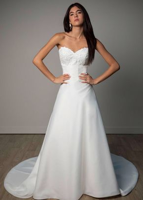 SY8328, Stella York