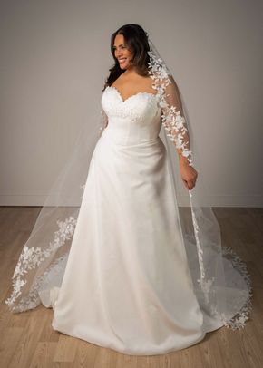 SY8328, Stella York